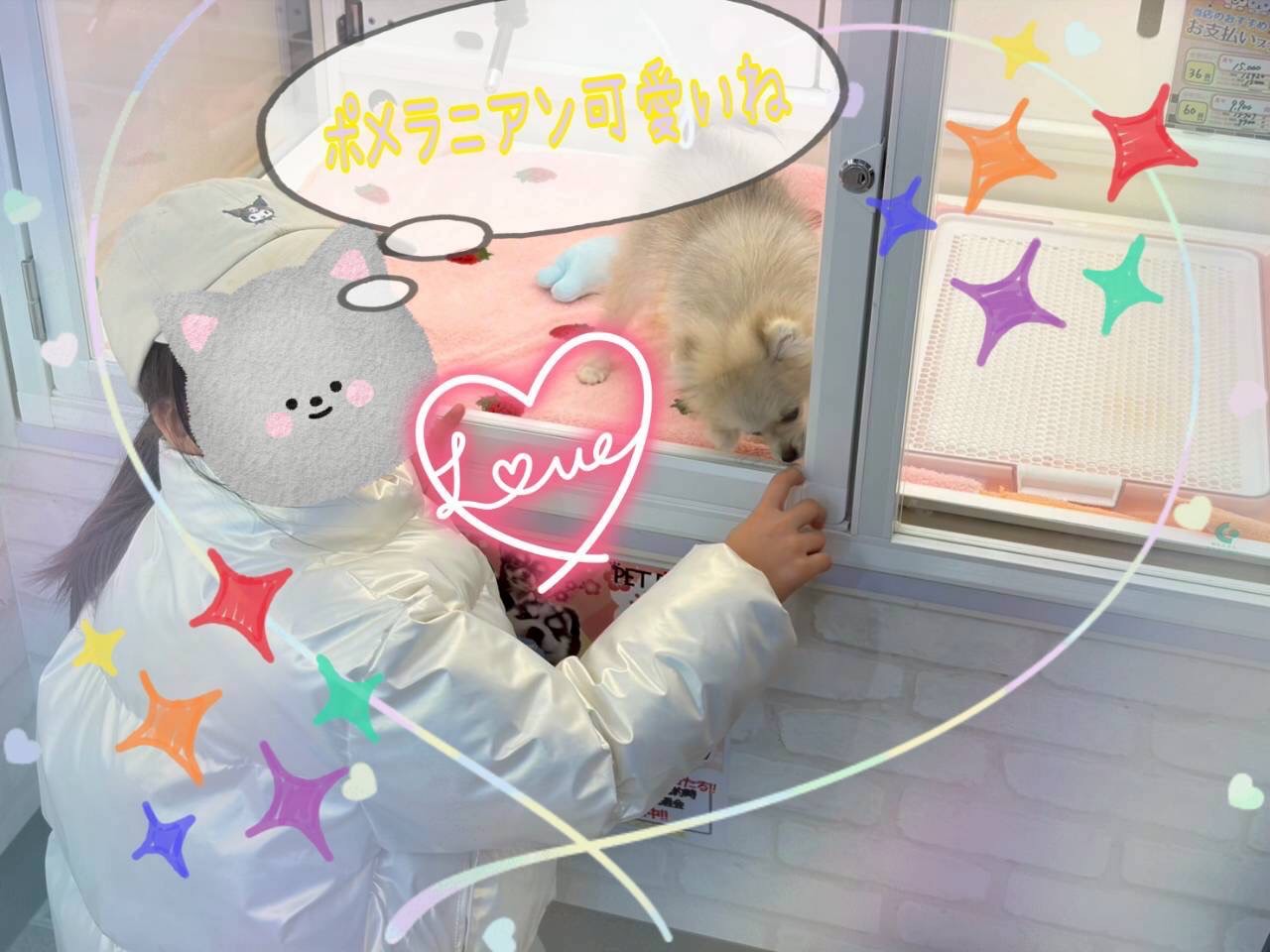 動物とのふれあいで広がる子どもたちの世界🐶🐰